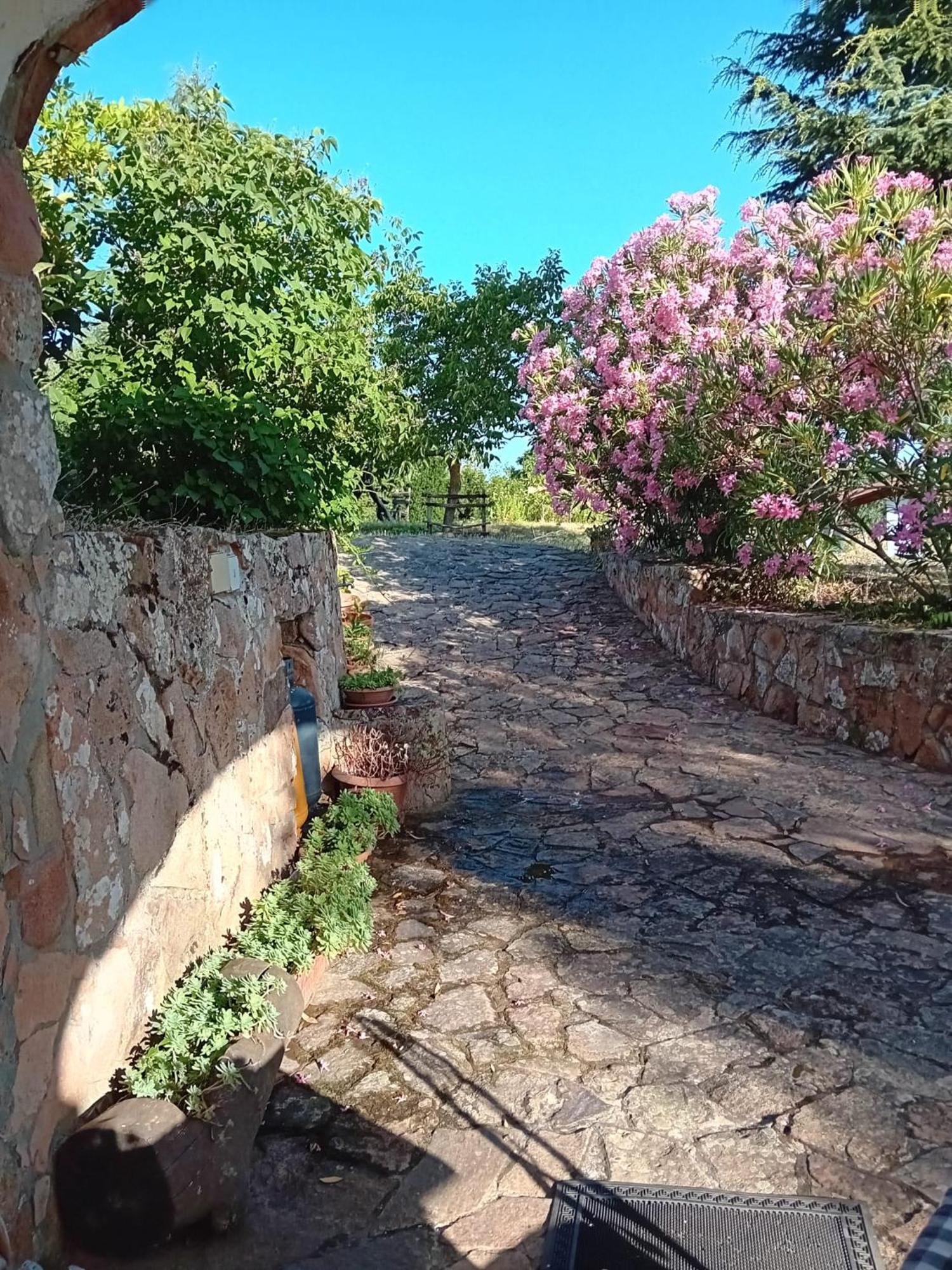 Seùlo Lugori B&B 외부 사진