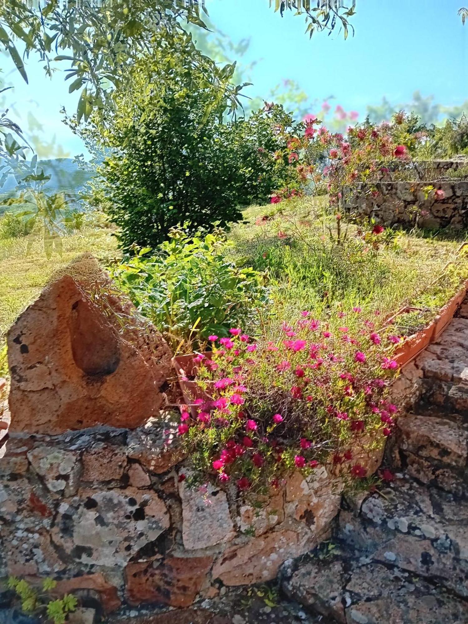 Seùlo Lugori B&B 외부 사진